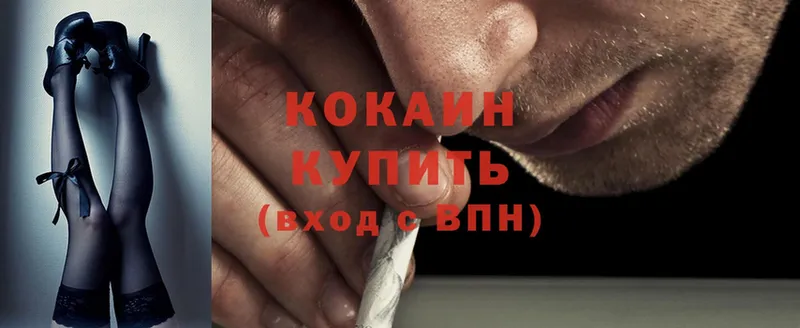 где продают наркотики  Тайга  Cocaine Боливия 