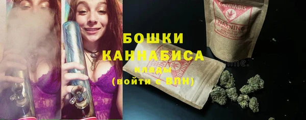 ГАЛЛЮЦИНОГЕННЫЕ ГРИБЫ Пестово
