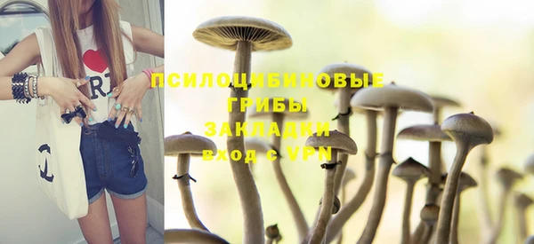 гидра Переславль-Залесский
