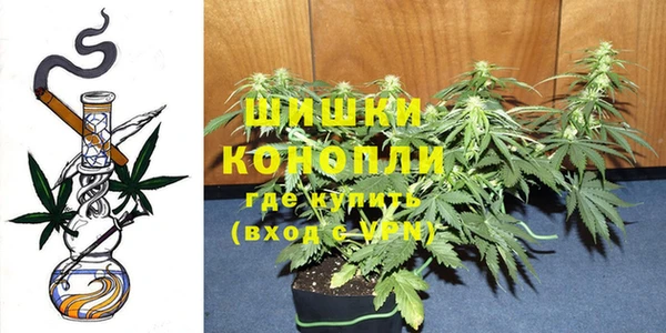 спиды Пересвет