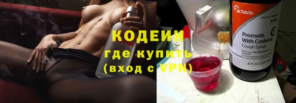 ГАЛЛЮЦИНОГЕННЫЕ ГРИБЫ Пестово