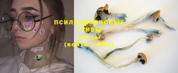 ГАЛЛЮЦИНОГЕННЫЕ ГРИБЫ Пестово