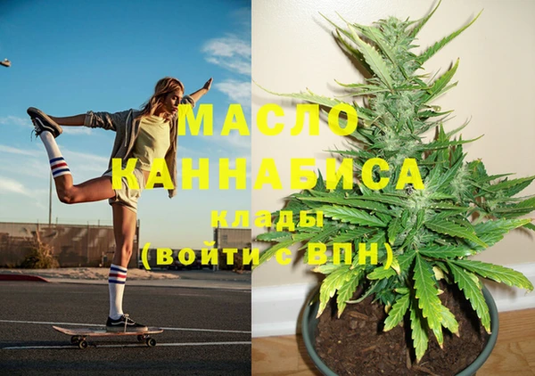 спиды Пересвет