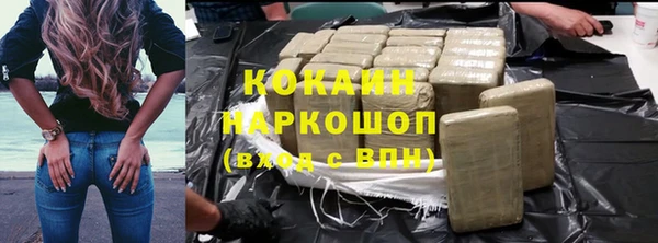 спиды Пересвет