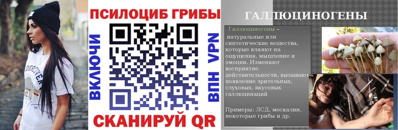 kraken маркетплейс  Тайга  Галлюциногенные грибы Magic Shrooms  где купить  