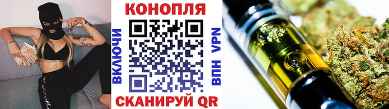Конопля сатива  Тайга 